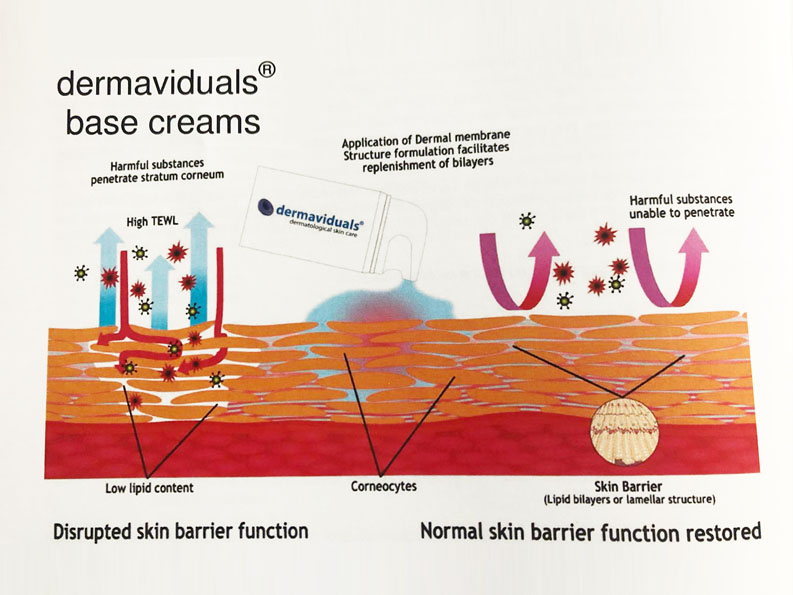 Dermaviduals - skin barrier